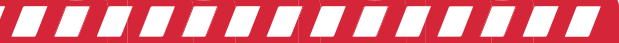 El Documentalista